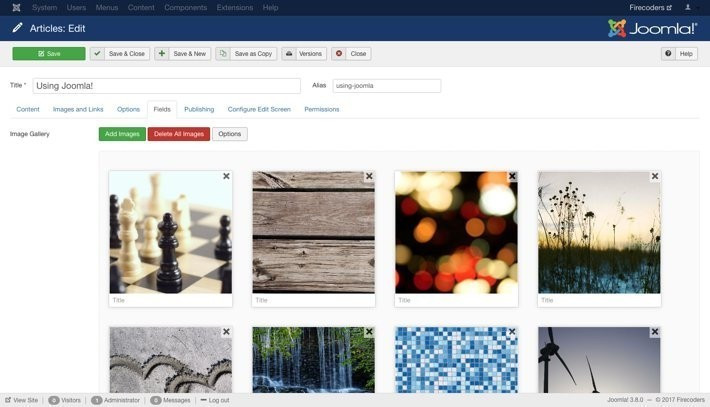 Showtime Joomla Gallery - Custom Fields